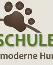Hundeschule-Nürtingen Logo
