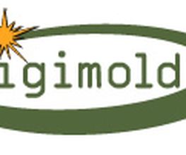 Digimold 3D Scan Logo