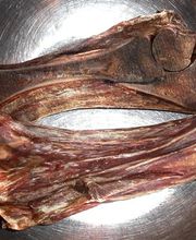 KALBSHAXE Premium Qualität aus Neuseeland