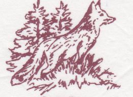 Gezeichneter Fuchs im Wald, umgeben von Bäumen und Gras, in roter Tinte illustriert.