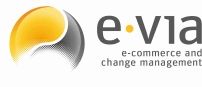 Logo von E-Via mit grauem und orangefarbenem Kreis, Text: "e-commerce and change management".