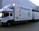 Weißer Umzugs-LKW mit Schriftzug "Schröter Umzüge International GmbH" und Weltkugel-Logo.