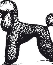 Hundesalon Füssen Logo