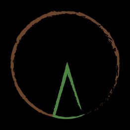 Cercle marron avec un triangle vert à l'intérieur sur fond noir.