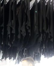 GLOBAL PIEL imagen 11