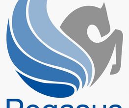 Pegasus Gebäudereinigung Logo
