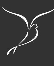 Abstrakte weiße Vogelsilhouette auf schwarzem Hintergrund, mit geschwungenen Linien.