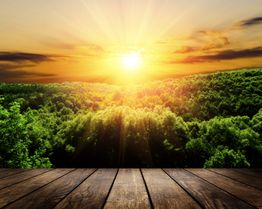 Holzterrasse mit Blick auf Waldlandschaft und Sonnenuntergang am Horizont.