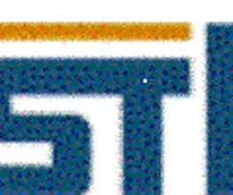 Nestler GmbH & Co. KG Logo