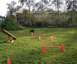 Hundeauslauf