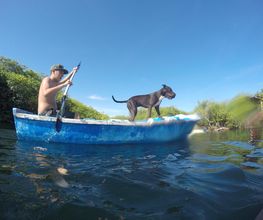 Hombre remando en bote azul con perro a bordo, rodeados de vegetación y cielo despejado.