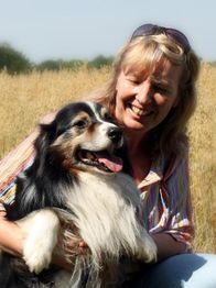Frau lächelt, hält einen glücklichen Hund auf einem Feld mit hohem Gras bei sonnigem Wetter.