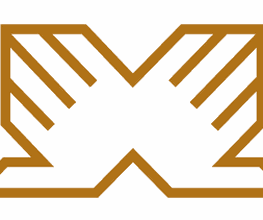 Braunes Logo mit stilisiertem Buch und Spiegelbild in symmetrischem Design auf weißem Hintergrund.