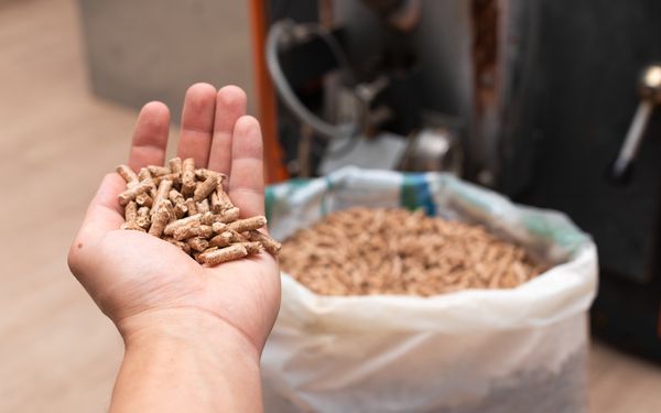 Eine Person hält Pellets für einen wasserführenden Pelletofen in der Hand. Dieser ersetzt die Zentralheiung.