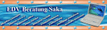 Blaues Banner mit Text "EDV Beratung Saka" und einem Laptopbild, orange-weiße Sterne am Rand.