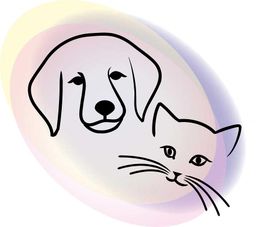 Linienzeichnung von Hund und Katze auf ovalem, mehrfarbigem Hintergrund.