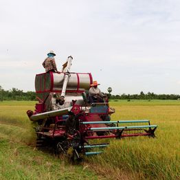 Two farmers operate a red combine harvester in a lush green and yellow field.