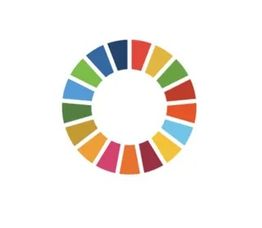 Cerchio multicolore composto da rettangoli, simbolo degli Obiettivi di Sviluppo Sostenibile.