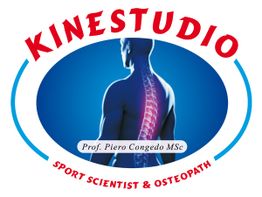 Logo di Kinestudio: silhouette di una schiena evidenziata con colonna vertebrale visibile.