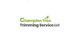 Champion Tree Trimming Service LLC logo with green and black text, featuring a leaf design.
