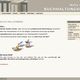 Website-Layout eines Buchhaltungsbüros mit Kontaktdaten und gefalteten Papierbooten als Dekor.