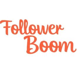 Roter Schriftzug "Follower Boom" auf weißem Hintergrund.