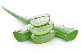 Tranches de feuille d'aloe vera empilées, montrant la pulpe transparente et brillante.