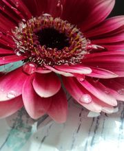 Frau entspannt - Beate Liebke Logo