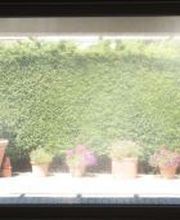 Blindes Fenster - vorher