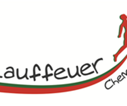 lauffeuer-chemnitz.de Logo