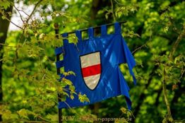 Blaue Flagge mit rotem und weißem Wappen, weht zwischen grünen Blättern im Wald.