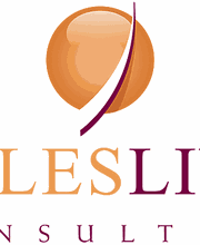 Salesline Consulting GmbH Logo