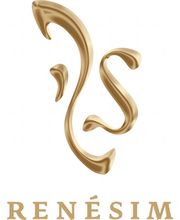 renesim GmbH Logo