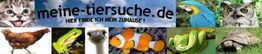 Collage von Tieren: Katze, Papagei, Eule, Huhn, Frosch, Fisch, Schlange, Schildkröte. "meine-tiersuche.de".