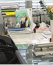 Büro mit Glas-Schreibtisch, Stühlen, Pflanzen und Ordnern. Helle, moderne Einrichtung.