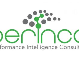 perinco GmbH Logo