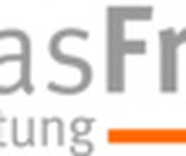 Thomas Franzen SystemBeratung Logo