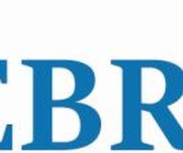 SIEBRECHT-DVS Logo