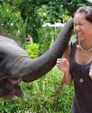 Erlebnisreisen in Thailand