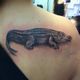 Tattoo of an alligator on a person's shoulder.