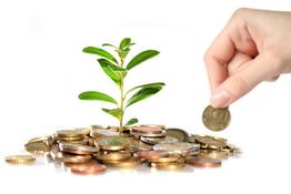 Planta creciendo entre monedas con una mano depositando una moneda al lado.