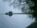 Schräger Blick auf einen Fernsehturm neben Bäumen bei bewölktem Himmel.