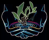 Dibujo de manos sosteniendo una planta sobre una superficie de agua en diseño colorido.