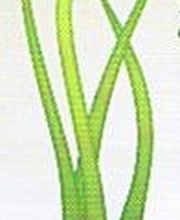 garden & landscaper Logo