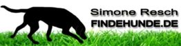 Schatten eines suchenden Hundes im Gras, Text: Simone Resch FINDEHUNDE.DE.