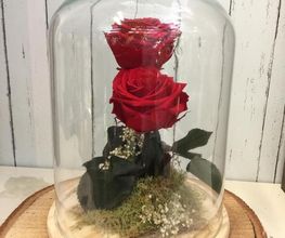Rosas rojas en campana de cristal sobre base de madera, decoradas con musgo y flores secas.