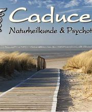 Heilpraktikerschule Caduceus Logo