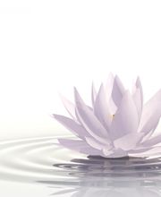 Nalinthaimassage Logo