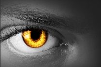 Nahaufnahme eines Auges mit goldener Iris, schwarz-weißes Bild.