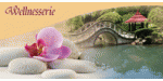 Orchidee auf Steinen, im Hintergrund ein Teich mit Brücke und Pavillon, Text: "Wellnesserie".
